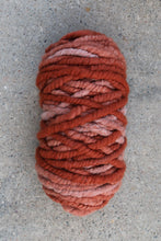 Load image into Gallery viewer, Rug Yarn - Echoview Fiber Mill - The Farmer's Daughter Fibers