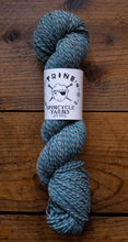 Load image into Gallery viewer, Trine - Spincycle Yarns