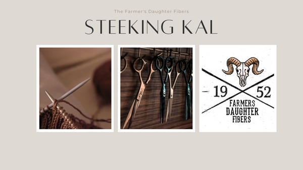 Summer Steeking KAL!