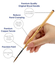 Load image into Gallery viewer, Hand holding a paintbrush with labeled features on a white background