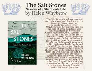 "The Salt Stones" by Helen Whybrow