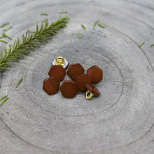 Load image into Gallery viewer, Brown hexagonal beads with gold accents on a textured gray surface with greenery.