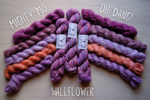 Load image into Gallery viewer, Colorful yarn skeins with labels on a neutral background