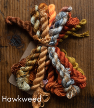 Load image into Gallery viewer, Color swatch with braided yarn in autumnal colors on a wooden background, labeled 'Hawkweed'.