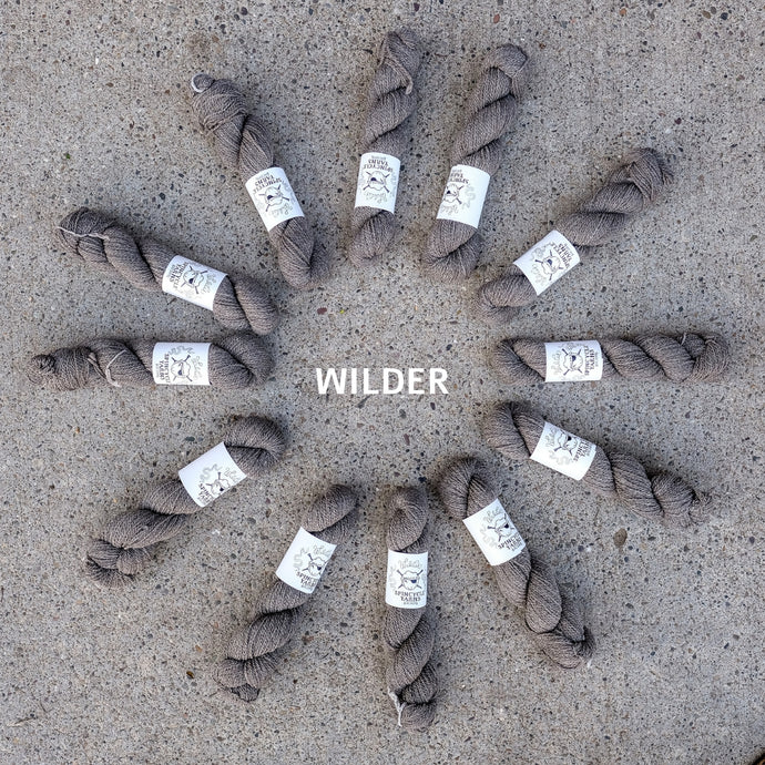 Wilder - Spincycle Yarns