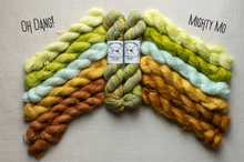 Load image into Gallery viewer, Braided skeins of yarn arranged in a wing-like fan shape on a light fabric background, with two small labels in the center. The left side shows pale yellow, mint, and rust shades, and the right side shows pale yellow, mint, and rust shades.