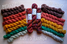 Load image into Gallery viewer, Colorful yarn skeins labeled 'Mighty Mo', 'Oh Daang!', and 'Rusted Rainbow' on a light background.