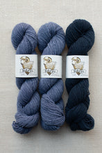 Load image into Gallery viewer, Three skeins of yarn in shades of blue and navy, each wrapped with a white paper label featuring a ram illustration and the brand name Soakip.