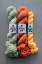 Load image into Gallery viewer, Three skeins of hand-dyed yarn in sage green, burnt orange, and golden yellow
