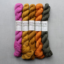 Load image into Gallery viewer, Sock Squad 2026 High Contrast Minis PREORDER