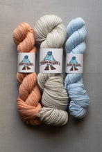 Load image into Gallery viewer, Three skeins of yarn in peach, gray, and blue on a gray background with 'Narnia Yarns' labels.