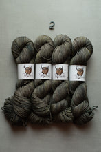 Load image into Gallery viewer, Four hanks of variegated yarn in a mottled gray, brown, and olive tone, arranged side by side on a light gray textured background with a small black number '2' above them. Each yarn hank has a white paper label featuring a brown horned animal head illustration.
