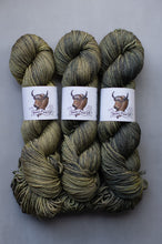 Load image into Gallery viewer, The Icons of Great Falls Yarn