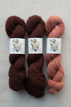 Load image into Gallery viewer, Three skeins of yarn from Bake Pit, arranged side by side on a light gray textured background. The yarn colors are a deep chocolate brown, a rich burgundy, and a dusty rose pink.
