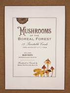 Packaging for 'Mushrooms of the Boreal Forest' paintable cards with mushroom illustrations on a brown background.