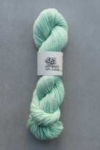 Load image into Gallery viewer, Mint green skein of yarn with a label on a gray background