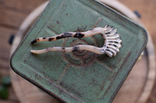 Load image into Gallery viewer, Decorative shell on a green ceramic surface