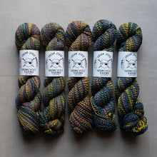 Load image into Gallery viewer, Five skeins of multicolored yarn with Spincycle Yarns labels on a gray background