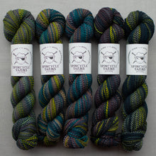 Load image into Gallery viewer, Five skeins of multicolored yarn with Spincycle Yarns labels on a gray background