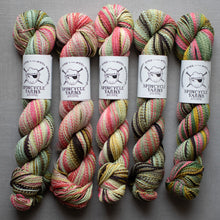 Load image into Gallery viewer, Five skeins of multicolored yarn with Spincycle Yarns labels on a gray background