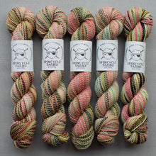 Load image into Gallery viewer, Five skeins of multicolored yarn with Spincycle Yarns labels on a gray background
