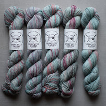 Load image into Gallery viewer, Five skeins of multicolored yarn with Spincycle Yarns labels on a gray background