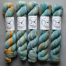 Load image into Gallery viewer, Five skeins of teal and yellow yarn with Spincycle Yarns labels on a gray background