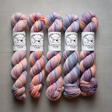 Load image into Gallery viewer, Five skeins of multicolored yarn with Spincycle Yarns labels on a gray background