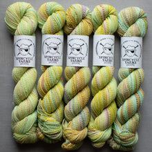 Load image into Gallery viewer, Five skeins of multicolored yarn with Spincycle Yarns labels on a gray background