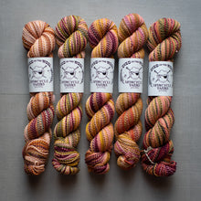 Load image into Gallery viewer, Five skeins of multicolored yarn with Spincycle Yarns labels on a gray background