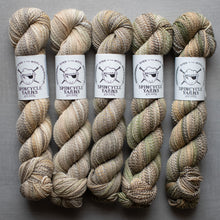 Load image into Gallery viewer, Three skeins of yarn with Spincycle Yarns labels on a gray background
