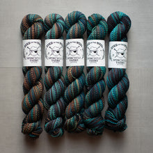 Load image into Gallery viewer, Five skeins of multicolored yarn with Spincycle Yarns labels on a gray background