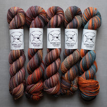 Load image into Gallery viewer, Five skeins of multicolored yarn with Spincycle Yarns labels on a gray background