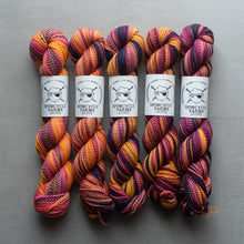Load image into Gallery viewer, Five skeins of multicolored yarn with Spincycle Yarns labels on a gray background