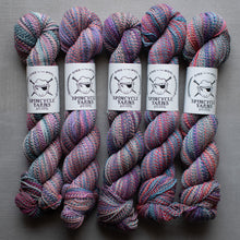Load image into Gallery viewer, Five skeins of multicolored yarn with Spincycle Yarns labels on a gray background