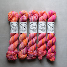 Load image into Gallery viewer, Dyed in the Wool - Spincycle Yarns