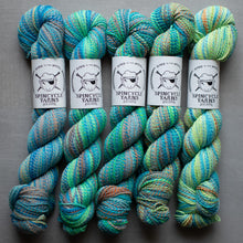Load image into Gallery viewer, Five skeins of multicolored yarn with Spincycle Yarns labels on a gray background