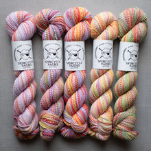 Load image into Gallery viewer, Five skeins of colorful yarn with Spincycle Yarns labels on a gray background