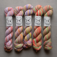 Load image into Gallery viewer, Five skeins of colorful yarn with Spincycle Yarns labels on a gray background