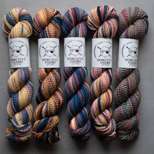 Load image into Gallery viewer, Five skeins of multicolored yarn with Spincycle Yarns labels on a gray background