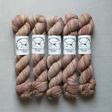 Load image into Gallery viewer, Five skeins of multicolored yarn with labels on a gray background
