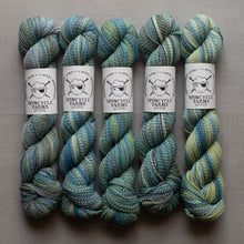 Load image into Gallery viewer, Five skeins of blue and green yarn with Spincycle Yarns labels on a gray background