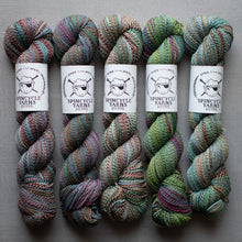 Load image into Gallery viewer, Five skeins of multicolored yarn with Spincycle Yarns labels on a gray background