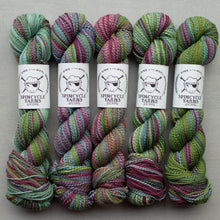 Load image into Gallery viewer, Five skeins of multicolored yarn with Spincycle Yarns labels on a gray background