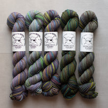 Load image into Gallery viewer, Five skeins of multicolored yarn with Spincycle Yarns labels on a neutral background