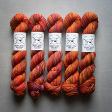 Load image into Gallery viewer, Five skeins of multicolored yarn with Spincycle Yarns labels on a gray background