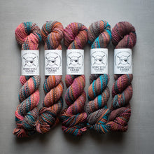 Load image into Gallery viewer, Five skeins of multicolored yarn with Spincycle Yarns labels on a gray background
