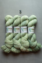 Load image into Gallery viewer, Four skeins of variegated yarn in a pale mint green and cream colorway, arranged side-by-side on a gray background with a small metal number 3 above them. The labels read 'Gregory Falls Scenic' and 'Variegated Yarn'.