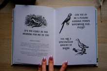 Load image into Gallery viewer, Effin' Birds: A Field Guide To Identification by Aaron Reynolds