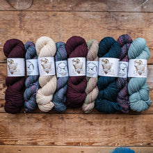 Load image into Gallery viewer, row of various colored yarn hanks